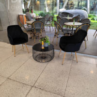 Sitiales de Felpa y Mesa de Centro Sillas y Mesas Parisinas en Clinica Alemana Vitacura